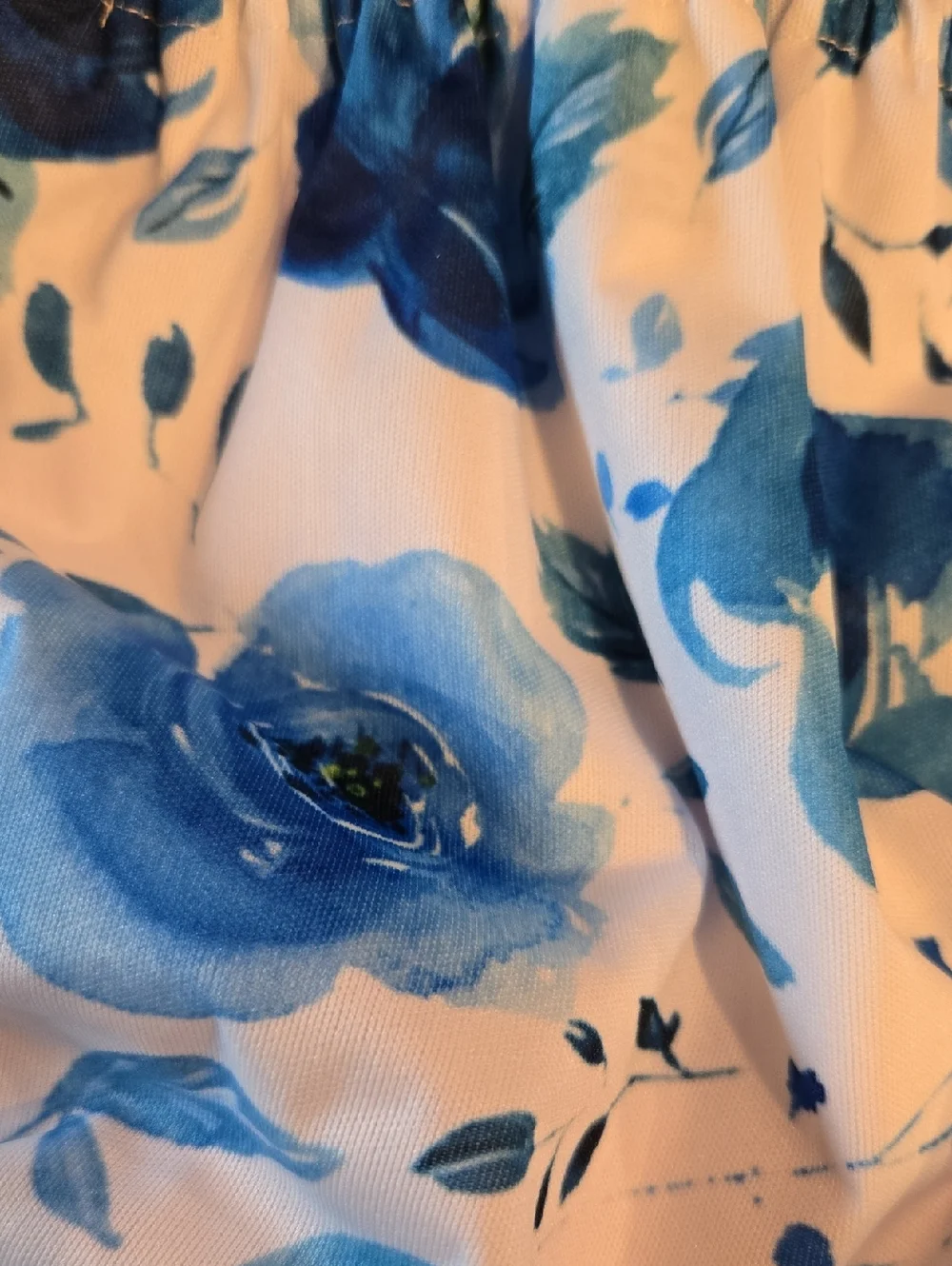 Blue Floral Reusable Or Swim Diaper Cover for Kids -